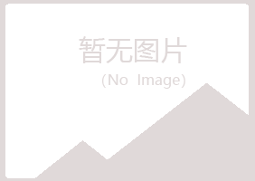 岳池县男孩能源有限公司